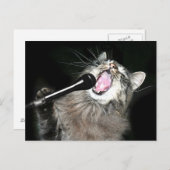 Singkatze Postkarte (Vorne/Hinten)