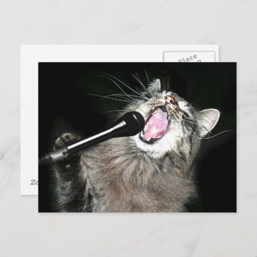 Singkatze Postkarte (Vorne/Hinten)