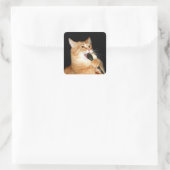 Singkatze Quadratischer Aufkleber (Tasche)
