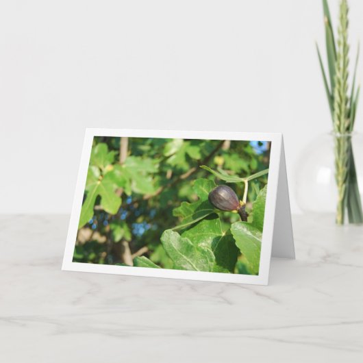 Single Abb. Tree Portrait Karte (Vorderseite)