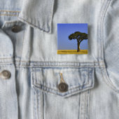 Single Acacia Baum auf Grasflächen, Masai Mara, Button (Beispiel)