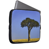 Single Acacia Baum auf Grasflächen, Masai Mara, Laptopschutzhülle (Vorne Rechts)