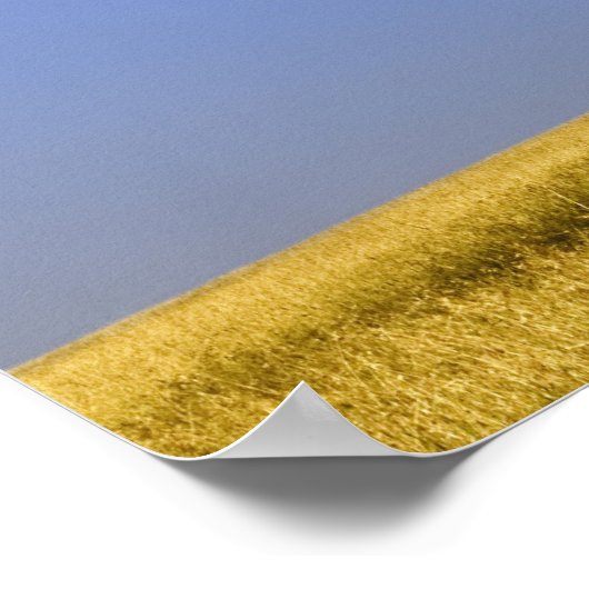 Single Acacia Baum auf Grasflächen, Masai Mara, Poster (Ecke)