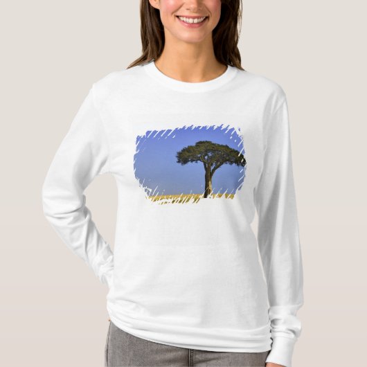 Single Acacia Baum auf Grasflächen, Masai Mara, T-Shirt (Vorderseite)