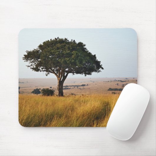 Single acacia tree auf Grasflächen, Masai Mara, Mousepad (Mit Mouse)