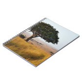 Single acacia tree auf Grasflächen, Masai Mara, Notizblock (Linke Seite)