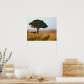 Single acacia tree on grasy Ebenen, Masai Mara, Poster (Küche)