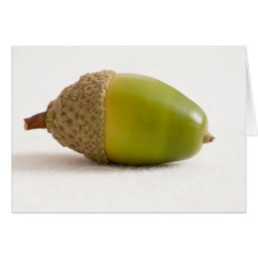 Single Acorn oben (Vorderseite (Horizontal))