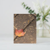 Single-Ahorn-Blatt im Fall Postkarte (Stehend Vorderseite)