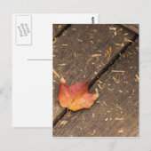 Single-Ahorn-Blatt im Fall Postkarte (Vorne/Hinten)
