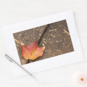 Single Ahornleaf im Fall Rechteckiger Aufkleber (Umschlag)