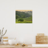 Single auf dem Ackerland, Toskana, Poster (Küche)