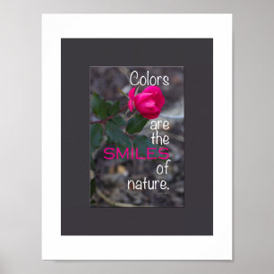 Single Bending Pink Rose Foto Poster