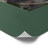 Single Bending Pink Rose Foto Poster (Ecke)