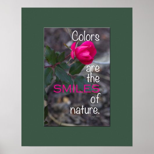 Single Bending Pink Rose Foto Poster (Vorne)