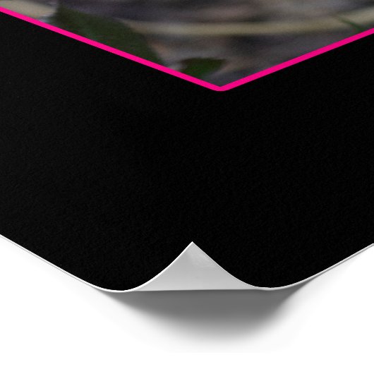 Single Bending Pink Rose Foto Poster (Ecke)