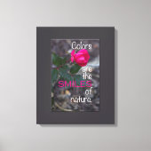 Single Bending rosa Rose Fotografie, graue Grenze Leinwanddruck (Vorderseite)