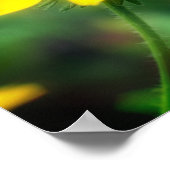 Single Black Mit Augen Susan Daisy Blume Poster (Ecke)