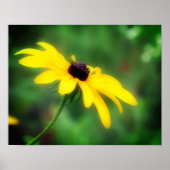 Single Black Mit Augen Susan Daisy Blume Poster (Vorne)