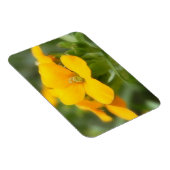 Single Bloom - Wallblume Magnet (Rechte Seite)