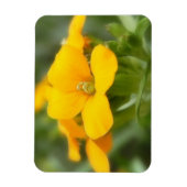 Single Bloom - Wallblume Magnet (Vertikal)
