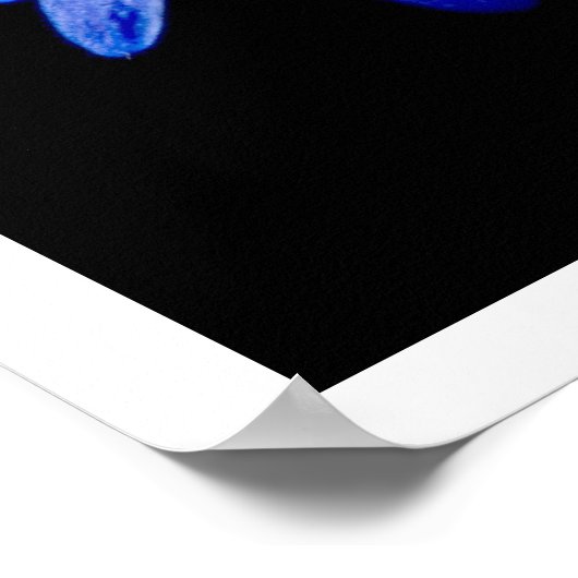 Single Blue Blume gegen Black Poster (Ecke)