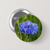 Single Blue Cornflower in green English Meadow Button (Vorne & Hinten)