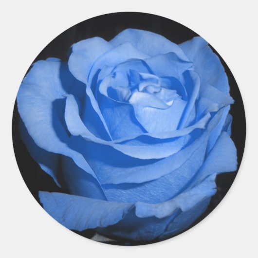 Single Blue Rose Runder Aufkleber (Vorderseite)