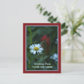 Single Blue-White Daisy Greetings Postcard Postkarte (Stehend Vorderseite)