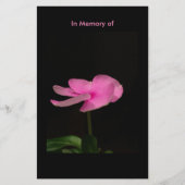 SINGLE BLUME FLORALER FLYER (Vorne)