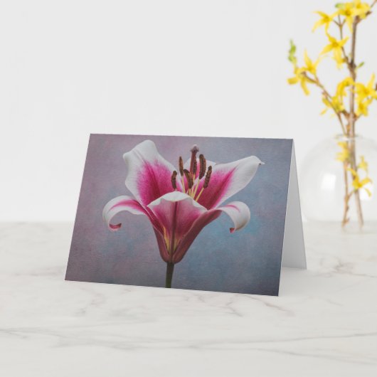 Single Blume Grußkarte Karte (Gelbe Blume)