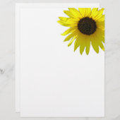 Single Corner Sunflower Geschirr (Vorne/Hinten)