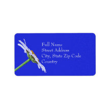 Single Daisy Blume auf Leinwand benutzerdefiniert