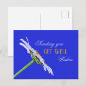 Single Daisy Blume auf Leinwand Postkarte (Vorne/Hinten)