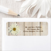 Single Daisy Blume & Light Rustikales Landholz (Insitu)