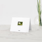 Single Daisy Grußkarte Karte (Rückseite)