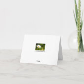 Single Daisy Grußkarte Karte (Rückseite)