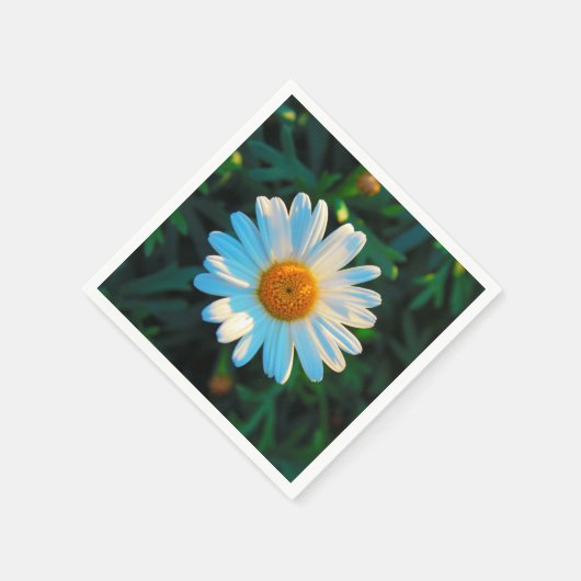 Single Daisy Serviette (Ecke)