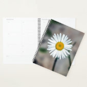 Single Daisy Weekly/Monatsplaner Planer (Anzeige)