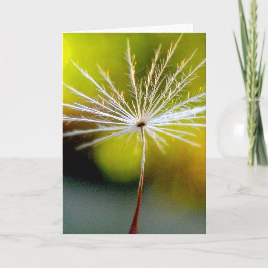Single Dandelion Seed Poetry of Nature Karte (Vorderseite)