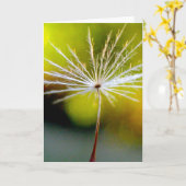 Single Dandelion Seed Poetry of Nature Karte (Gelbe Blume)