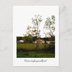 Single dich nie aus! postkarte