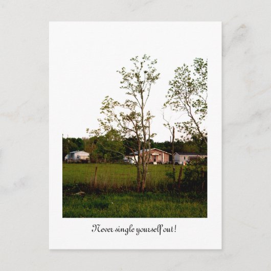 Single dich nie aus! postkarte (Vorderseite)