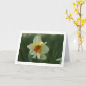 Single Dickdarm geklappte leere Grußkarte Karte (Gelbe Blume)