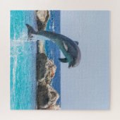 Single Dolphin Jumping Puzzle (Horizontal)