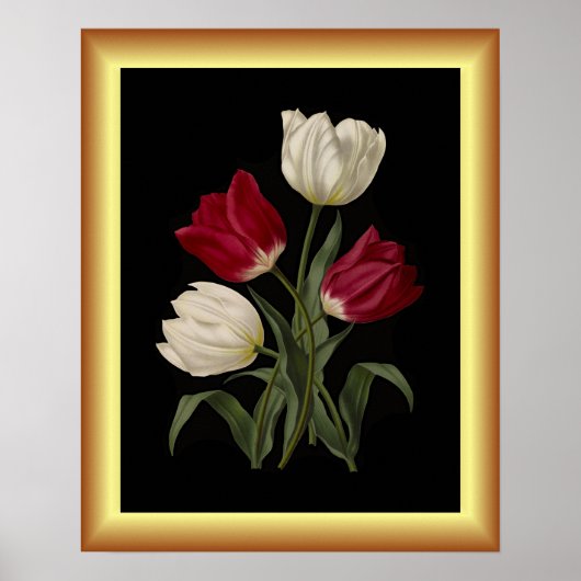 Single Early Tulips ~ Botanische Kunst Poster (Vorne)
