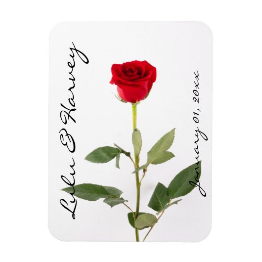 Single Elegant Rote Rose Magnet (Vertikal)