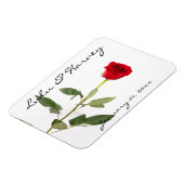 Single Elegant Rote Rose Magnet (Linke Seite)