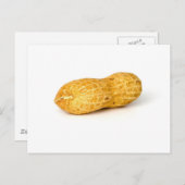 Single Erdnuss im weißen Hintergrund Postkarte (Vorne/Hinten)