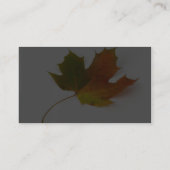 Single farbiges Ahorn-Blatt auf weißem Hintergrund Visitenkarte (Rückseite)